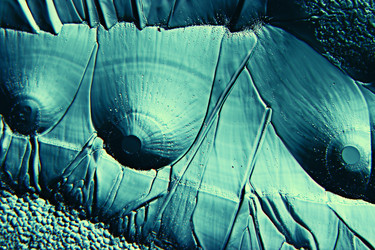 Similar image 10511348