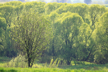 Similar image 10511355