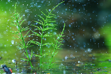 Similar image 10511357