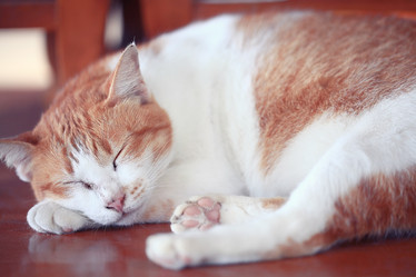 Similar image 10511358