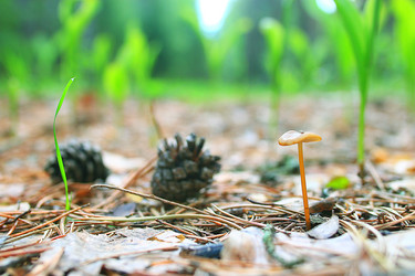 Similar image 10511359