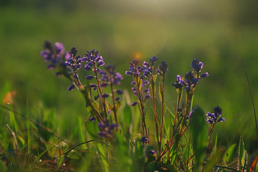 Similar image 10511362