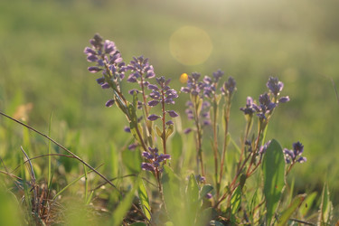 Similar image 10511363