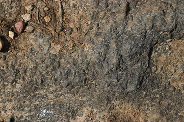 Similar image 10511365