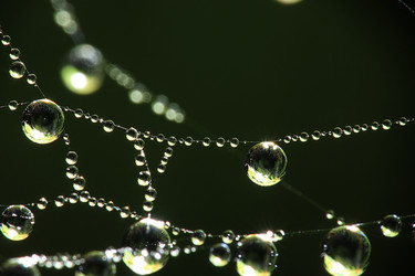 Similar image 10511367