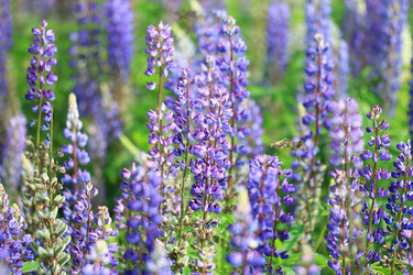 Similar image 10511371