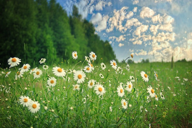 Similar image 10511374