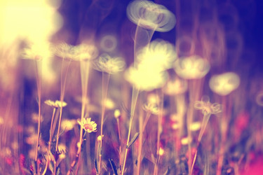 Similar image 10511375