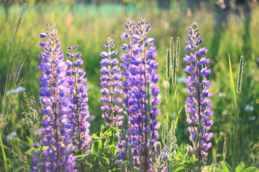 Similar image 10511377