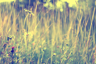 Similar image 10511379