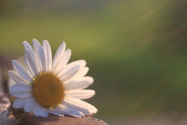 Similar image 10511381