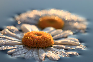 Similar image 10511383