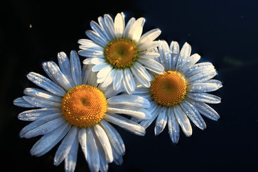 Similar image 10511385