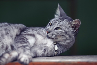 Similar image 10511393