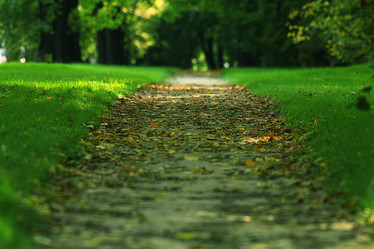 Similar image 10511397