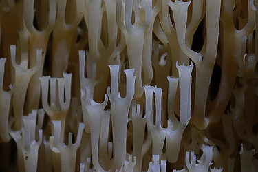 Similar image 10511399