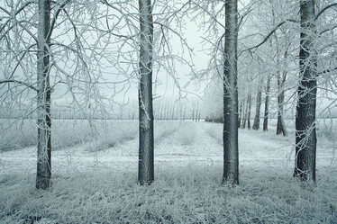 Similar image 10511412