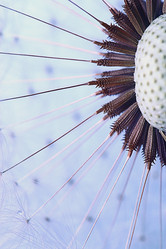 Similar image 10511417