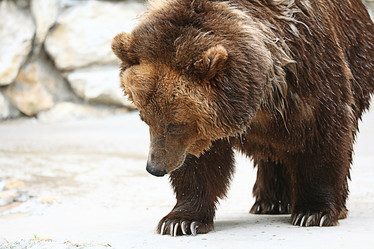 Similar image 10511451