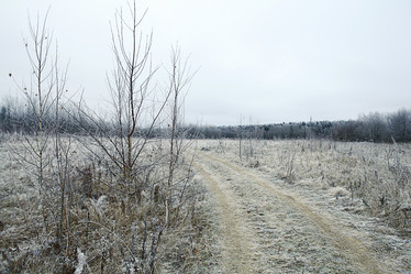 Similar image 10511474