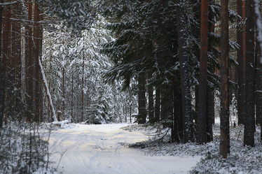 Similar image 10511477