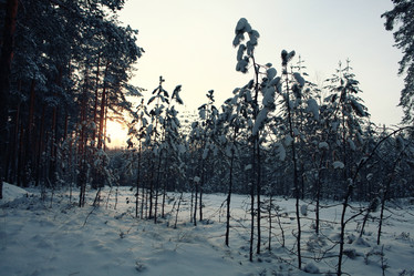 Similar image 10511482