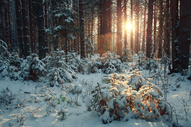 Similar image 10511484