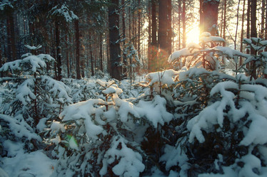 Similar image 10511486