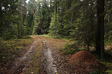 Similar image 10511520