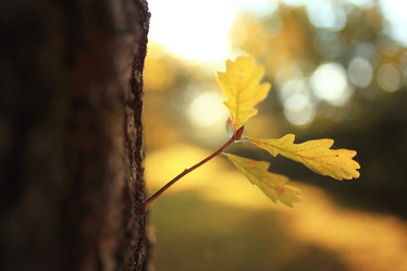 Similar image 10511523