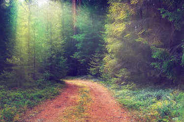 Similar image 10511525