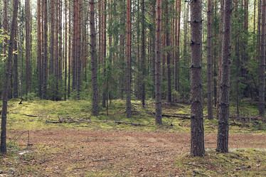 Similar image 10511528