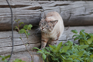 Similar image 10511529