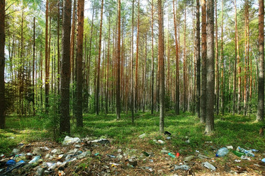 Similar image 10511531