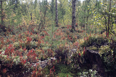 Similar image 10511549