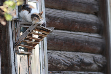 Similar image 10511550