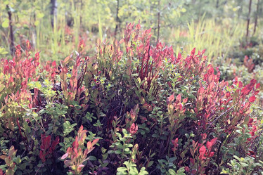 Similar image 10511551