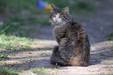 Similar image 10511552