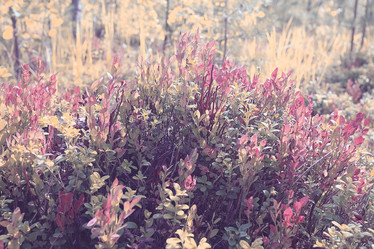 Similar image 10511554