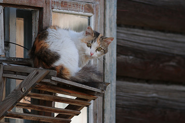 Similar image 10511555