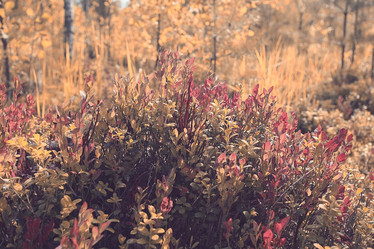 Similar image 10511556