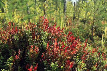 Similar image 10511561