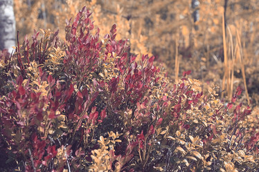 Similar image 10511562