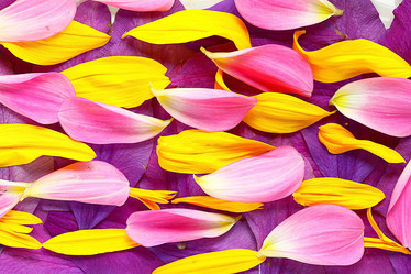 Similar image 10511566