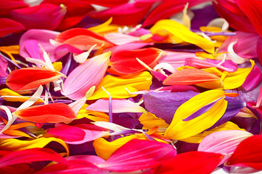 Similar image 10511568