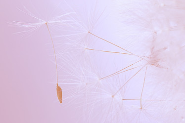 Similar image 10511724