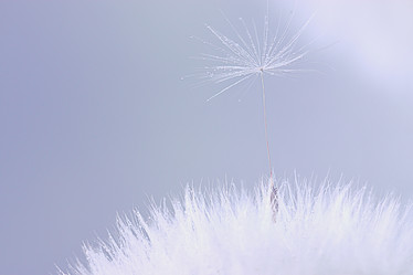 Similar image 10511729