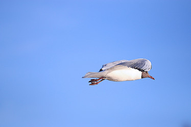 Similar image 10511802