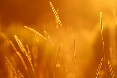 Similar image 10511806