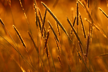 Similar image 10511809